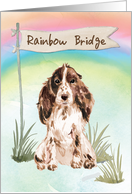 Brown Cocker Spaniel Pet Sympathy Over Rainbow Bridge card