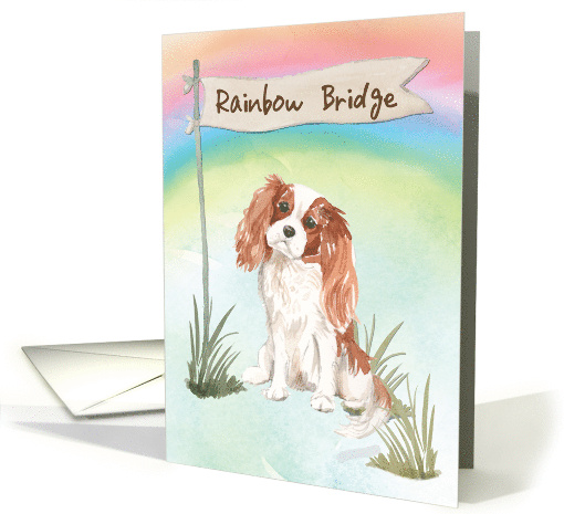 Cavalier King Charles Spaniel Pet Sympathy Over Rainbow Bridge card