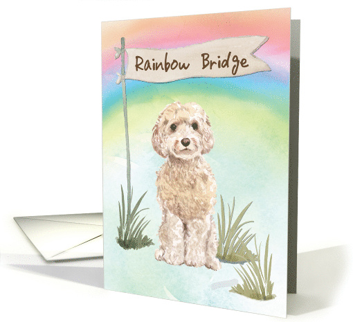 Champagne Cockapoo Pet Sympathy Over Rainbow Bridge card (1673744)
