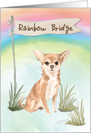 Chihuahua Pet Sympathy Over Rainbow Bridge card