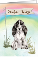 Cocker Spaniel Pet Sympathy Over Rainbow Bridge card