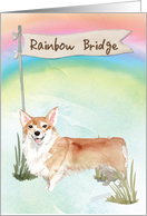 Corgi Pet Sympathy Over Rainbow Bridge card