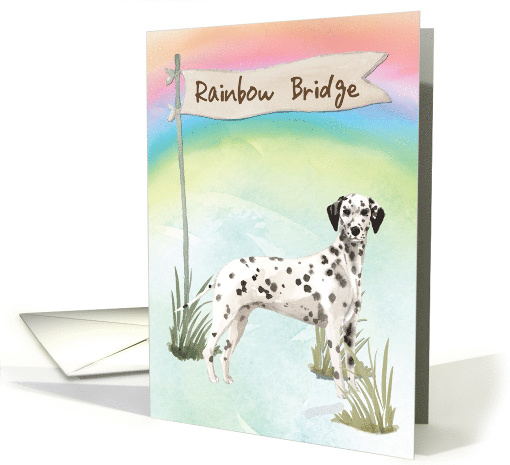 Dalmatian Pet Sympathy Over Rainbow Bridge card (1673908)