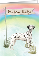 Dalmatian Pet Sympathy Over Rainbow Bridge card