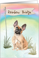 French Bulldog Pet Sympathy Over Rainbow Bridge card