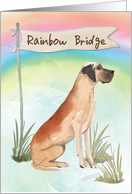 Great Dane Pet Sympathy Over Rainbow Bridge card