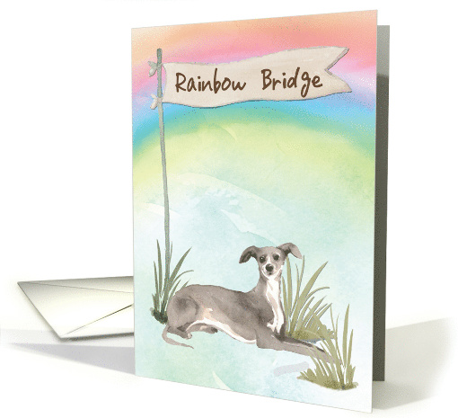 Italian Greyhound Pet Sympathy Over Rainbow Bridge card (1673924)