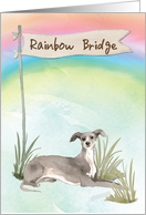 Italian Greyhound Pet Sympathy Over Rainbow Bridge card