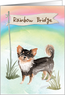 Long Haired Chihuahua Pet Sympathy Over Rainbow Bridge card