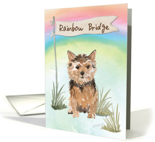 Norfolk Terrier Pet Sympathy Over Rainbow Bridge card (1673928)