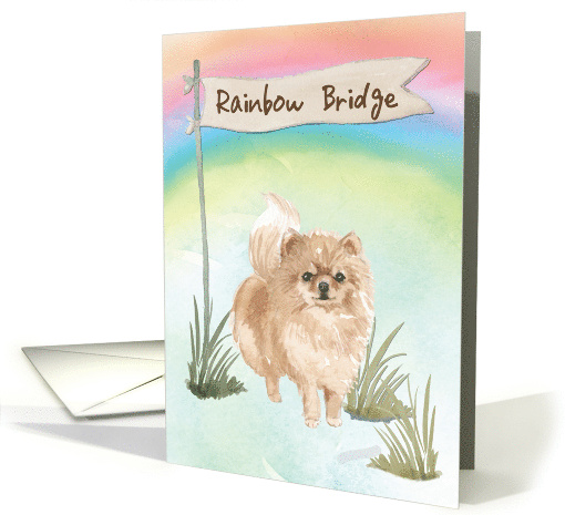 Pommeranian Pet Sympathy Over Rainbow Bridge card (1673932)