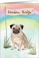 Pug Pet Sympathy Over Rainbow Bridge card