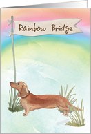 Tan Dachshund Pet Sympathy Over Rainbow Bridge card