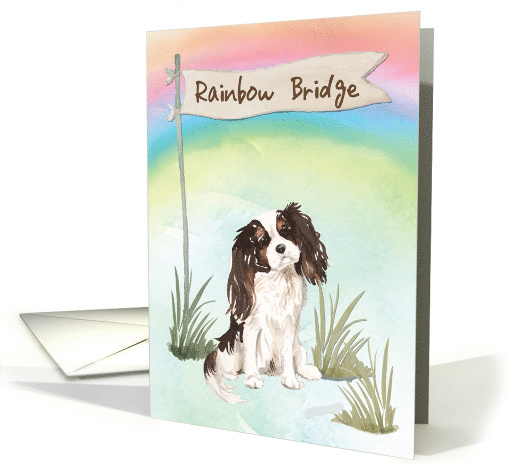 Tri Colour King Charles Spaniel Pet Sympathy Over Rainbow Bridge card