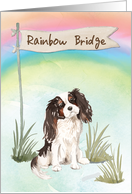 Tri Colour King Charles Spaniel Pet Sympathy Over Rainbow Bridge card