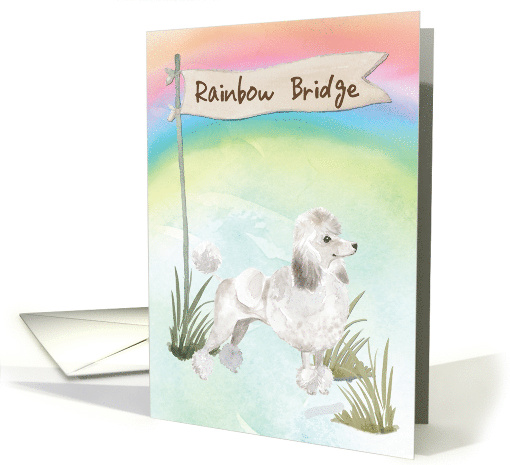White Poodle Pet Sympathy Over Rainbow Bridge card (1673946)