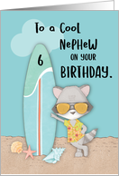 Age 6 Nephew Birthday Beach Funny Cool Raccoon in Sunglasses card