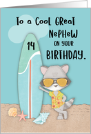 Age 14 Great Nephew Birthday Beach Funny Cool Raccoon in Sunglasses card