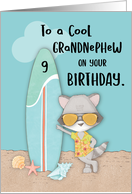 Age 9 Grandnephew Birthday Beach Funny Cool Raccoon in Sunglasses card