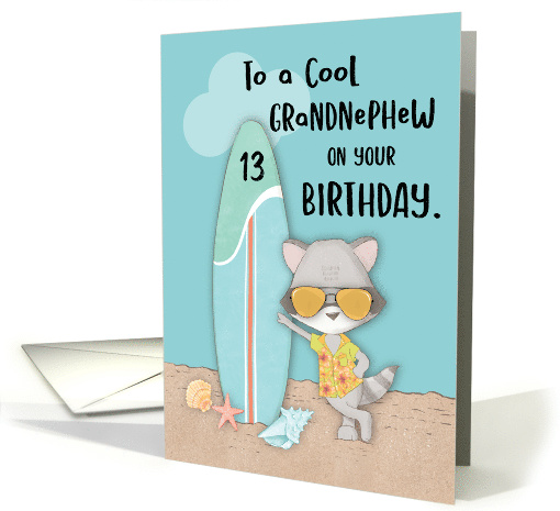 Age 13 Grandnephew Birthday Beach Funny Cool Raccoon in... (1691406)