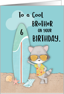 Age 6 Brother Birthday Beach Funny Cool Raccoon in Sunglasses card