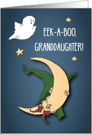Young Granddaughter Halloween Peek A Boo Witch with Ghost card