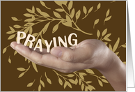 Praying Hand Religious Blessings at Thanksgiving card