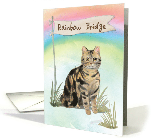 Tabby Cat Pet Sympathy Over Rainbow Bridge card (1700798)