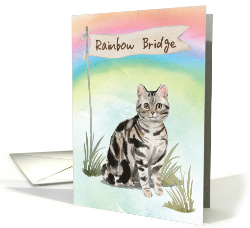 American Short Hair Cat Pet Sympathy Over Rainbow Bridge card