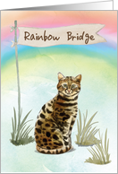 Bengal Cat Pet Sympathy Over Rainbow Bridge card