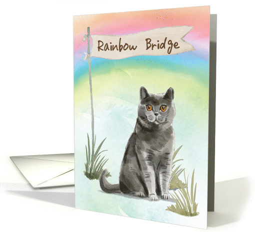 British Short Hair Cat Pet Sympathy Over Rainbow Bridge card (1701020)