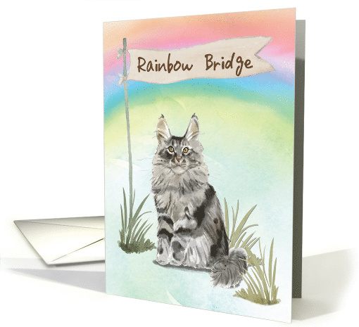 Maine Coon Cat Pet Sympathy Over Rainbow Bridge card (1701024)