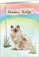 Ragdoll Cat Pet Sympathy Over Rainbow Bridge card