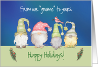 Funny Gnomes From...