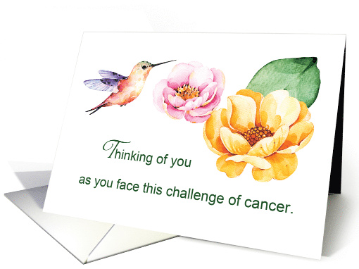 For Cancer Patients Thinking of You Flowers and Hummingbird card