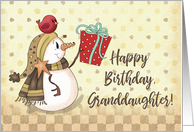 Granddaughter Birthday Bird on Snowman with Present card
