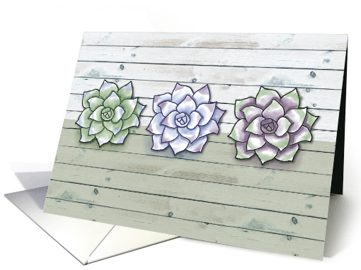 Three Echeveria Succulents Plants on Light Gray wood... (1719898)