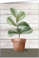Fiddle Leaf Fig Tree Watercolor Potted Plant with Wooden Board Blank N card