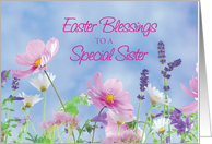 Sister Religious Easter Blessings to Nun Wildflowers card