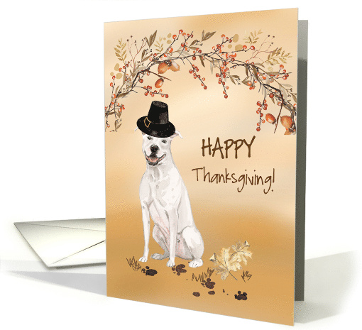 American Staffordshire Terrier Funny Pilgrim Hat Thanksgiving card