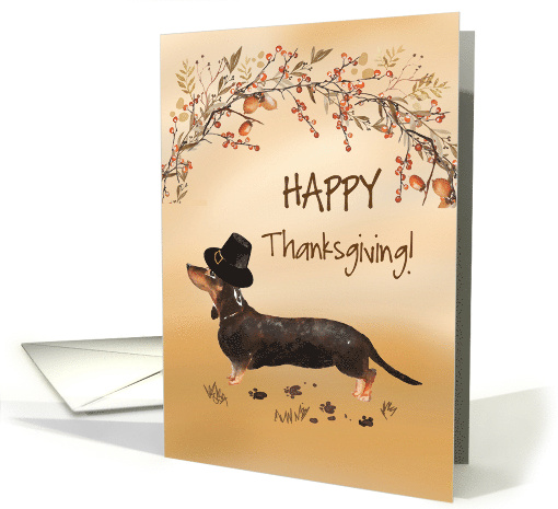 Black and Tan Dachshund Funny Pilgrim Hat Thanksgiving card (1749394)