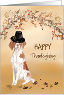 Brittany Funny Pilgrim Hat Thanksgiving card