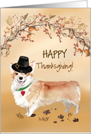 Corgi Wearing Funny Pilgrim Hat at Thanksgiving card