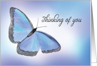 Torn Retina Get Well Thinking of You Butterfly card