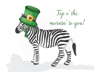 Zebra Wearing Green Hat on St Patricks Day