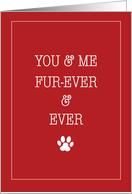 Valentine FROM Pet Love Forever and Ever Red with Paw Print card