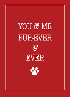 Valentine FOR Pet Love Forever and Ever Red with Paw Print