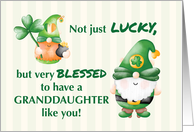 Granddaughter St. Patricks Day Gnomes Lucky and Blessed card