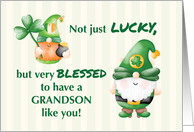 Grandson St. Patricks Day Gnomes Lucky and Blessed card