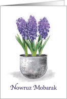 Persian New Year Hyacinth Bringing Peace card